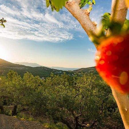 Rikanthos Stone Sea View Apartment Ιι Kíssamos Esterno foto