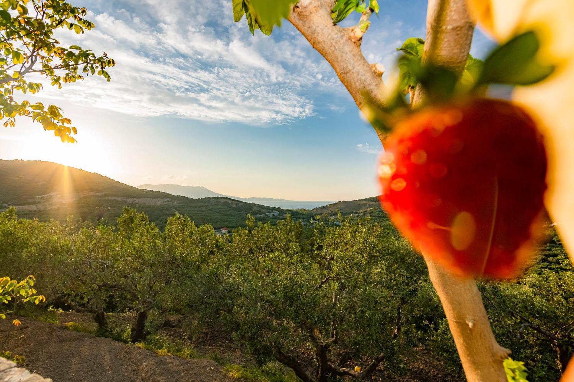 Rikanthos Stone Sea View Apartment Ιι Kíssamos Esterno foto